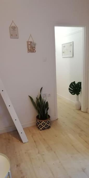 Heart Of Athens II 25Sqm Apartman Kültér fotó